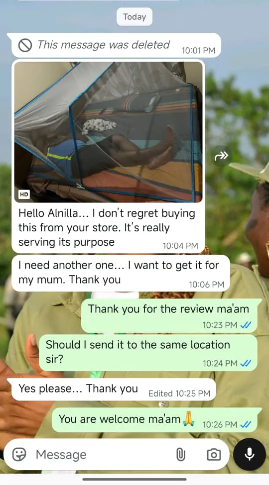 Foldable mosquito net review